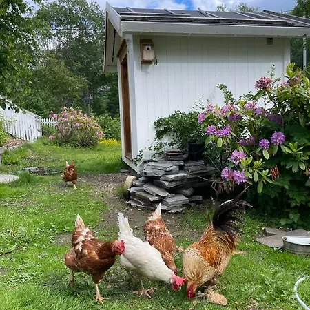 Leka بيت خشبي Solsem