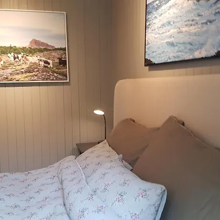 Leka بيت خشبي